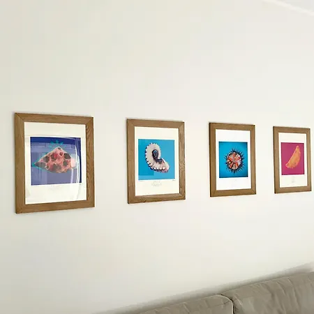 Rainbow Luxury 바리